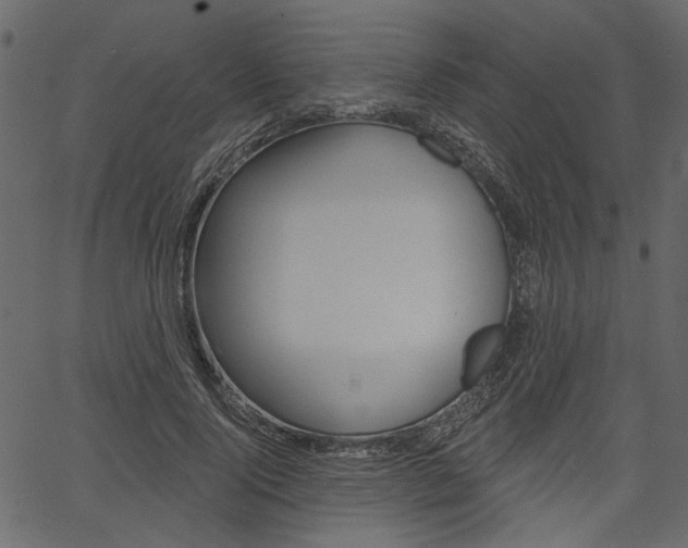 X0000067390740200603310955