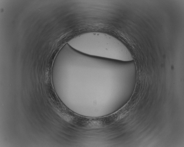 X0000067390741200603310955