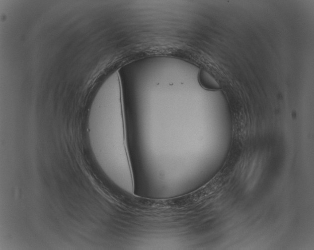 X0000067390742200603310955