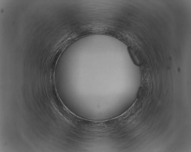 X0000067390744200603310955