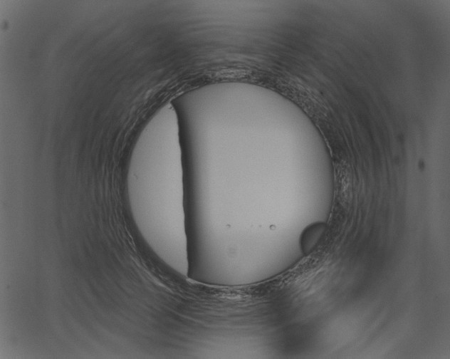 X0000067390745200603310955