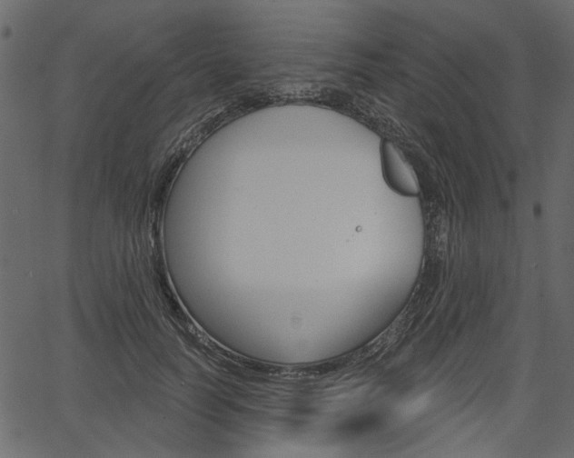 X0000067390746200603310955