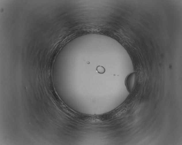 X0000067390747200603310955