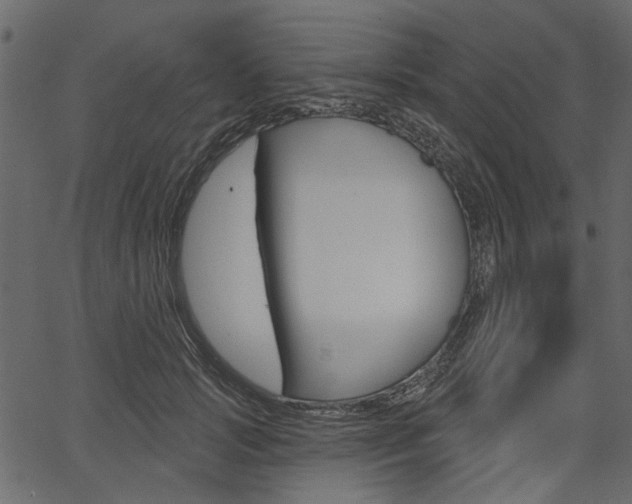 X0000067390749200603310955