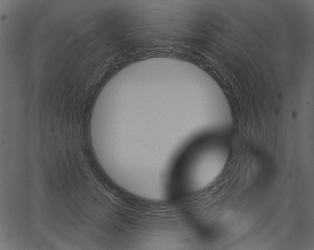 X0000067390750200603310955