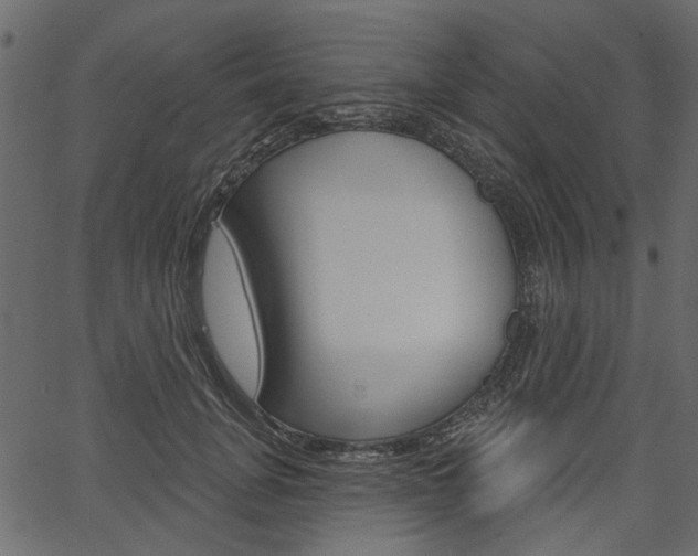 X0000067390751200603310955