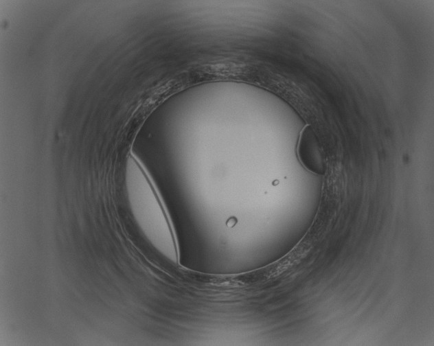 X0000067390752200603310955