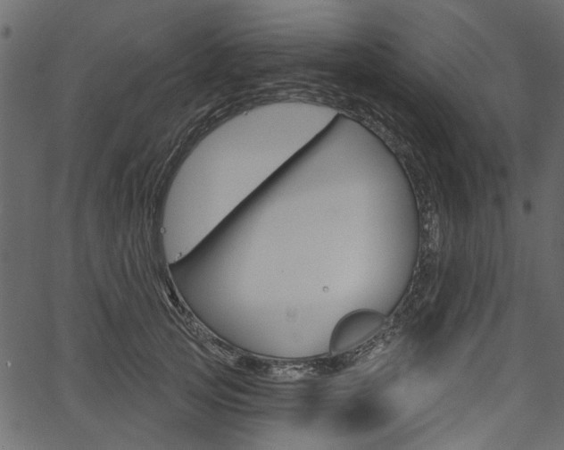 X0000067390753200603310955