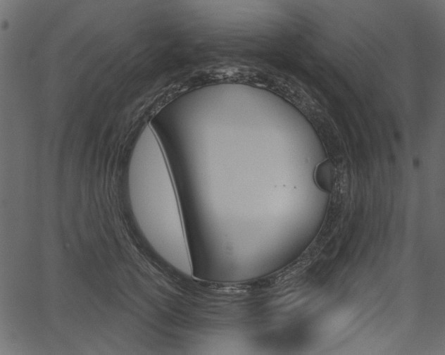 X0000067390754200603310955