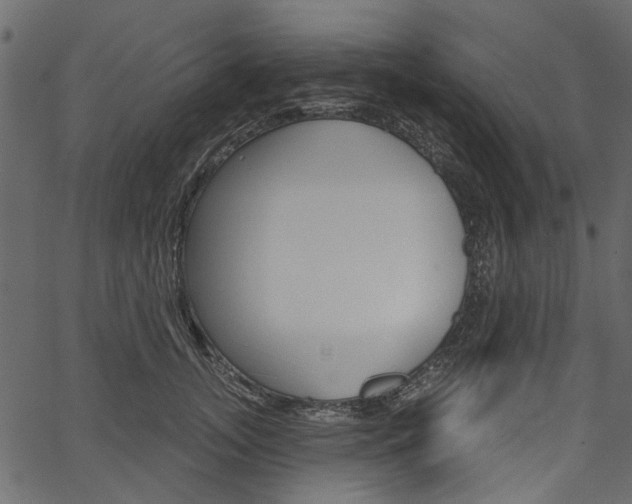 X0000067390755200603310955