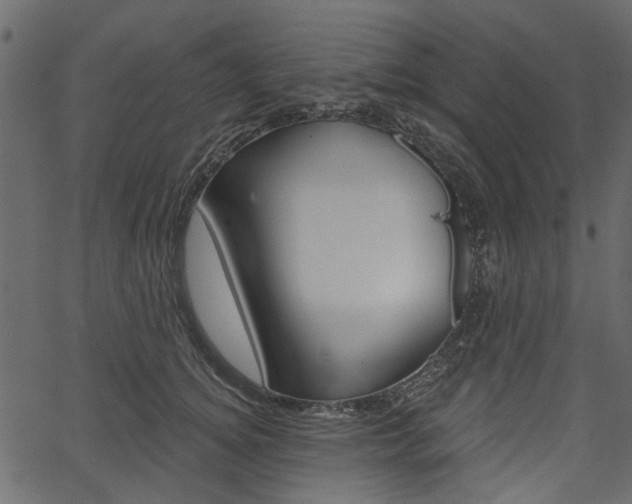 X0000067390756200603310955