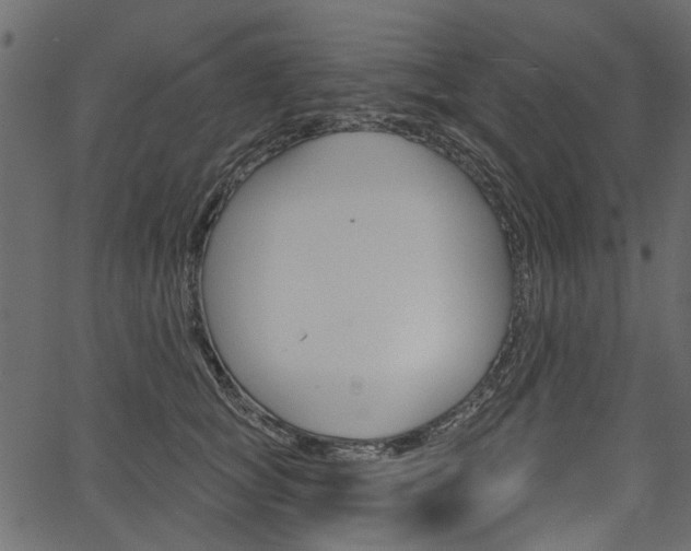 X0000067390757200603310955