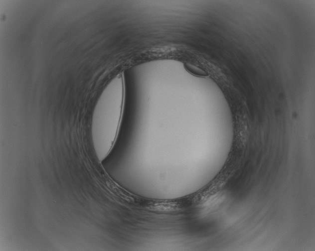 X0000067390758200603310955