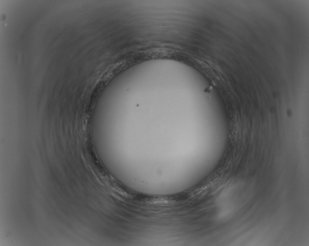 X0000067390759200603310955