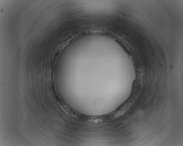 X0000067390760200603310955