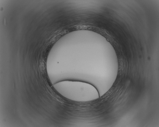 X0000067390761200603310955