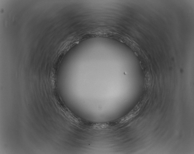 X0000067390762200603310955