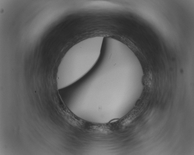 X0000067390763200603310955