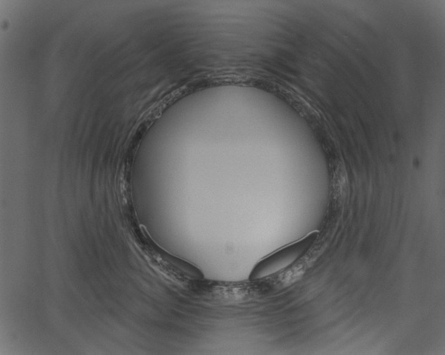 X0000067390764200603310955