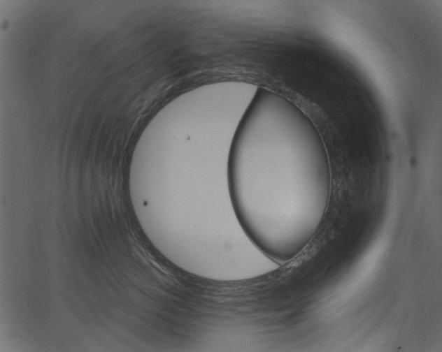 X0000067390766200603310955