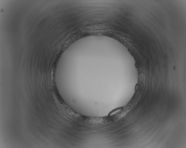 X0000067390767200603310955