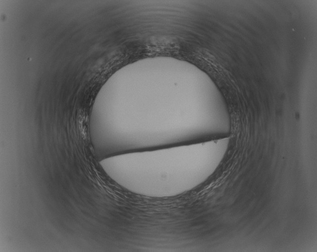 X0000067390770200603310954