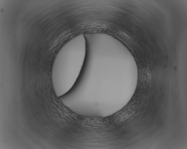 X0000067390774200603310954