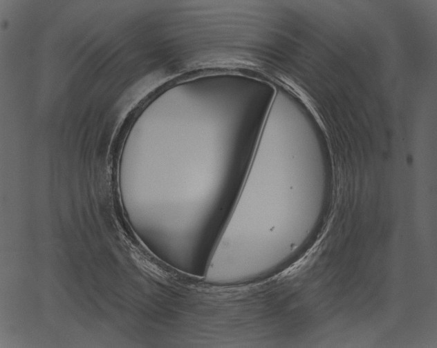 X0000067390779200603310954