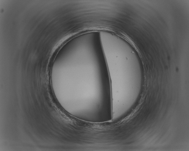 X0000067390787200603310954