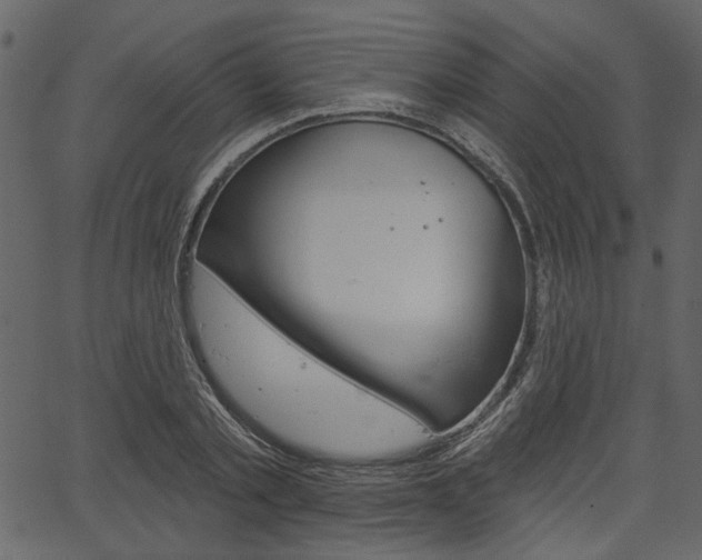 X0000067390789200603310954