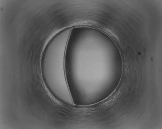 X0000067390792200603310954