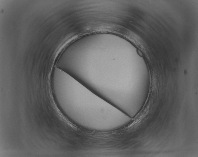 X0000067390798200603310954