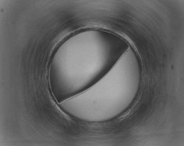 X0000067390799200603310954