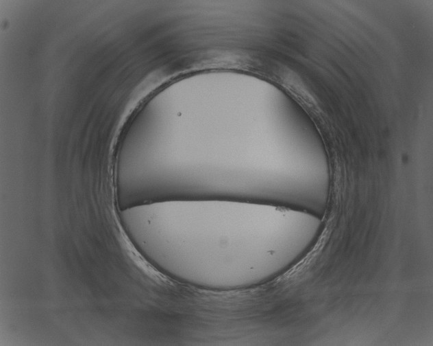 X0000067390800200603310954