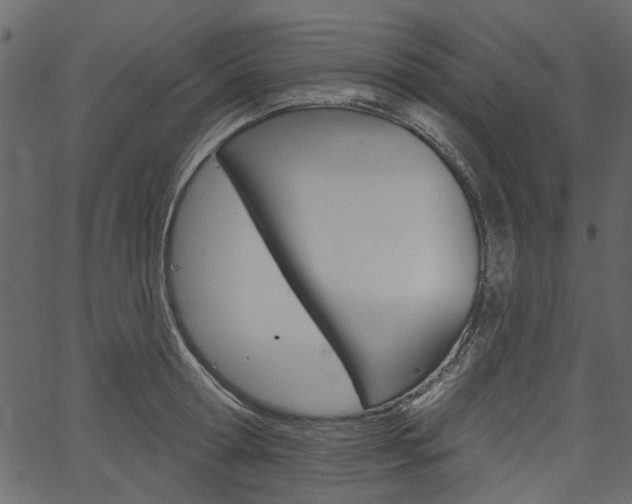 X0000067390802200603310954