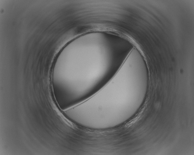 X0000067390803200603310954