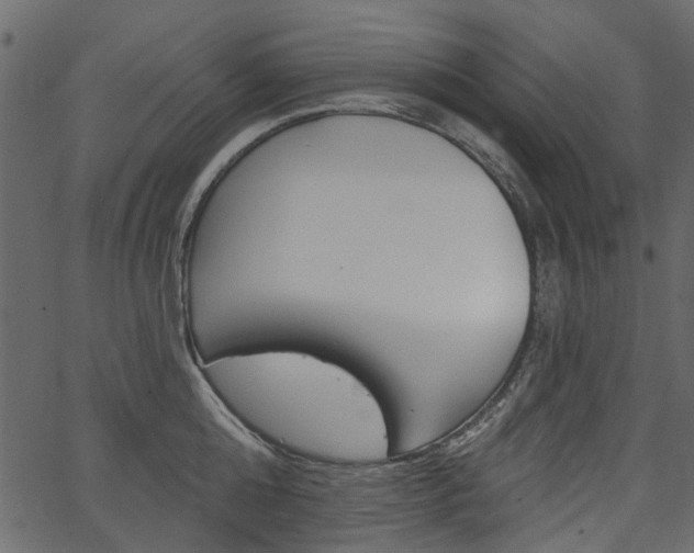 X0000067390808200603310954