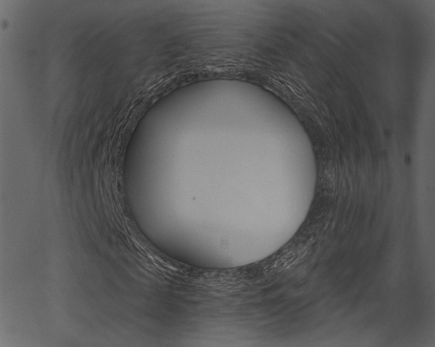 X0000067390817200603310953