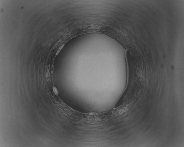 X0000067390818200603310953