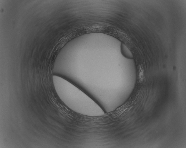 X0000067390819200603310953