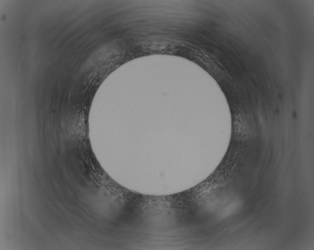 X0000067390820200603310953