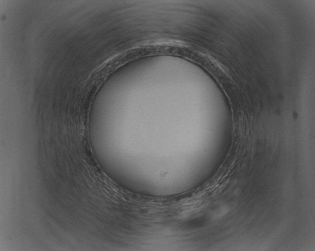 X0000067390821200603310953