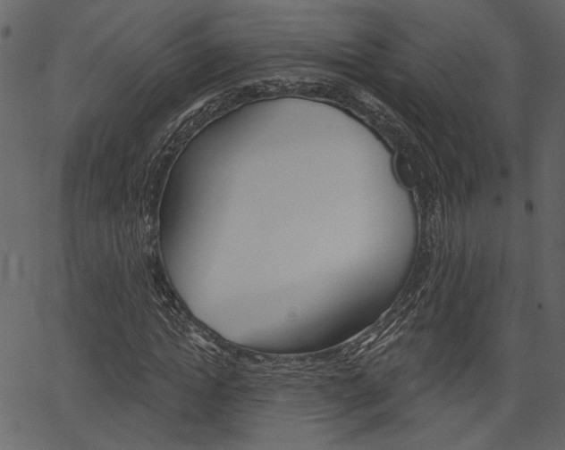 X0000067390822200603310953