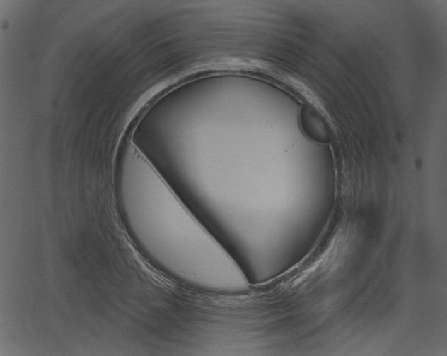 X0000067390837200603310953