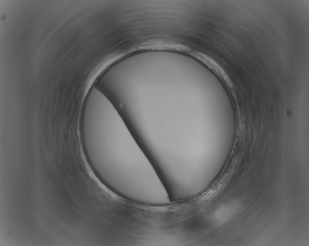 X0000067390855200603310954