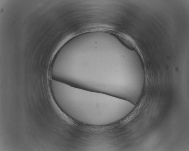 X0000067390859200603310954