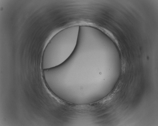 X0000067390863200603310954