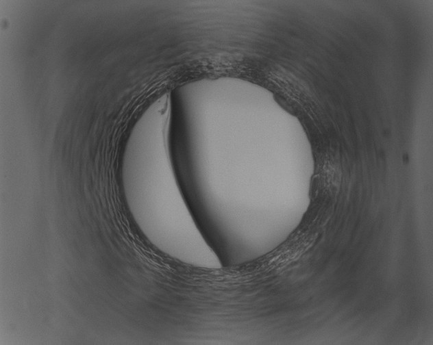 X0000067390865200603310953