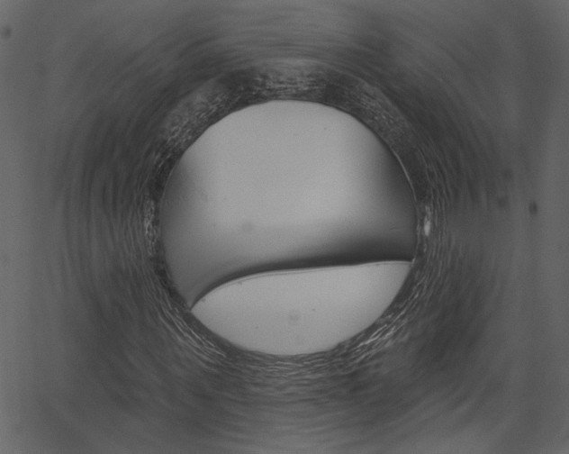 X0000067390867200603310953