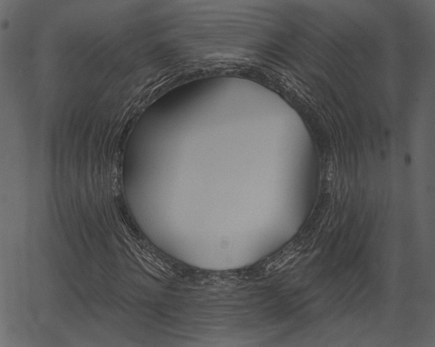 X0000067390868200603310953